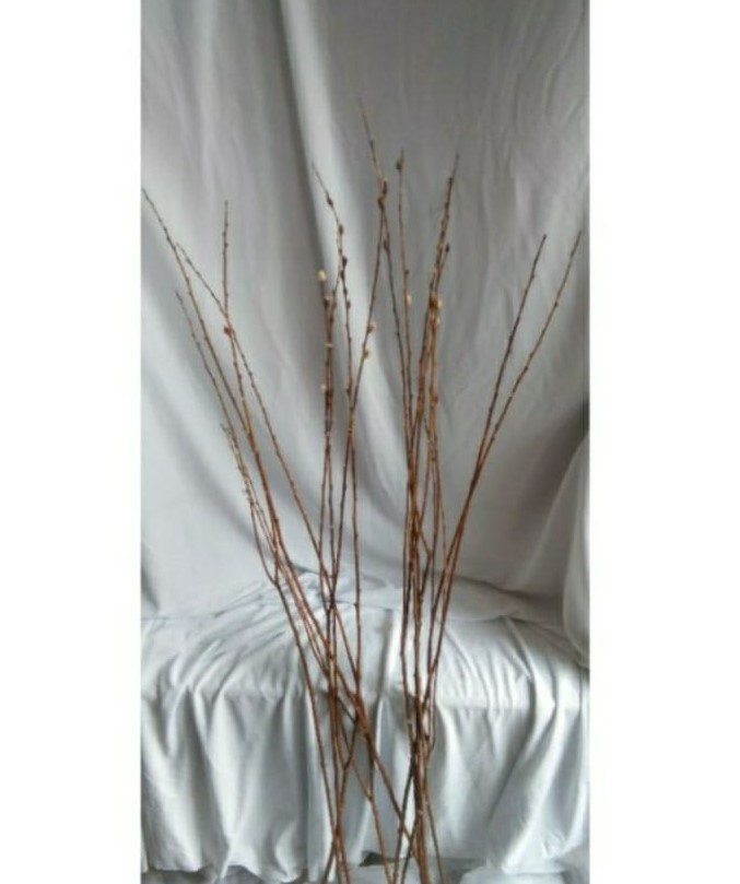RANTING DEKORASI, BROWN 120CM/PCS